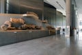 Interior view of the new Acropolis Museum in Athens city with view to the Acropolis of Athens
