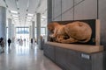 Interior view of the new Acropolis Museum in Athens, Hekatompedos, the Lioness Pediment