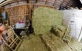 Interior view of an old wooden barn Royalty Free Stock Photo