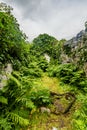 Interior view of a ruined medieval house covered with plants in the Burren Royalty Free Stock Photo