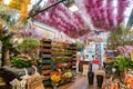 Interior view of store in flower market selling tulips roots and