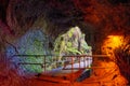 Interior view of Thurston Lava Tube, Hawaii Volcanoes National Park Royalty Free Stock Photo
