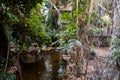 Interior view of tropical rainforest section inside Montreal Biodome Royalty Free Stock Photo