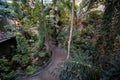 Interior view of tropical rainforest section inside Montreal Biodome Royalty Free Stock Photo