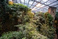 Interior view of tropical rainforest section inside Montreal Biodome Royalty Free Stock Photo