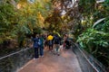 Interior view of tropical rainforest section inside Montreal Biodome. Royalty Free Stock Photo