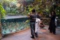 Interior view of tropical rainforest section inside Montreal Biodome. Royalty Free Stock Photo