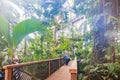 Interior view of the United States Botanic Garden Royalty Free Stock Photo