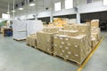 Interior of a warehouse with pallet stacker, boxes. Royalty Free Stock Photo