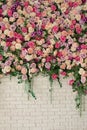 Interior wedding party decor. Spring flowers on wall building. Beautiful decorative colorful roses and peonies on brick white wall Royalty Free Stock Photo