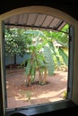 Interiors of Old Portuguese Bungalow in Goa Royalty Free Stock Photo