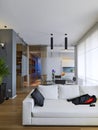 .interiors shots of a modern living room i