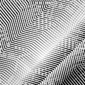 Interlace, interlocking lines. Curve, flex intersecting lines grid, mesh. Interweaved waving, zig-zag lines. Combined, merging Royalty Free Stock Photo