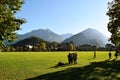 Interlaken, Switzerland, Families and friends having fun at thee lawn gardeen Royalty Free Stock Photo