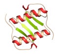 Interleukin 8 (IL-8) cytokine protein. IL8 can be secreted by macrophages and a number of other cell types and is involved in the