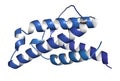 Interleukin 4 (IL-4) cytokine protein. 3D Illustration