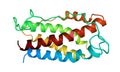 Structure of human interleukin-6