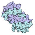 Interleukin 5 (IL-5) cytokine protein. 3D Illustratoin.