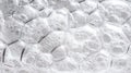Interlocking clear soap foam floating on liquid showing a complex cellular structure and abstract white pattern with light Royalty Free Stock Photo