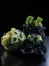 Interlocking 3D printed shapes resembling a futuristic salad thats become a popular culinary statement.. AI generation