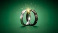 Interlocking Wedding Rings with Sparkles Royalty Free Stock Photo
