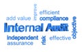 Internal Audit infographic