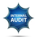 Internal Audit magical glassy sunburst blue button