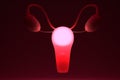 Internal genital female organs. Light from the uterus and ovaries. Menstruation, menopause concept. 3D render