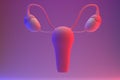 Internal genital female organs. uterus and ovaries. 3D render