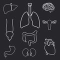 Internal human body organs outline symbols