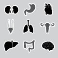 Internal human body organs stickers