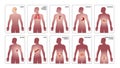 Internal Human Organs Composition Set Royalty Free Stock Photo