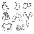 Internal human organs hand drawn icons set Royalty Free Stock Photo