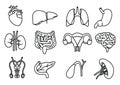 Internal human organs hand drawn icons set vector Royalty Free Stock Photo