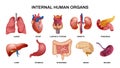 Internal Human Organs Horizontal Icon Set Royalty Free Stock Photo