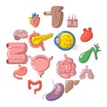 Internal human organs icons set, cartoon style Royalty Free Stock Photo
