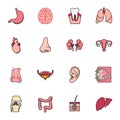 Internal human organs icons set