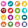 Internal human organs icons set colorful circles vector Royalty Free Stock Photo