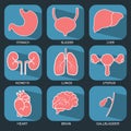 Internal human organs icons set in flat design style Royalty Free Stock Photo