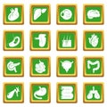 Internal human organs icons set green square vector Royalty Free Stock Photo