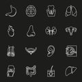 Internal human organs icons set Royalty Free Stock Photo