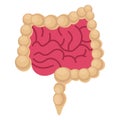 Basic RGB internal, intestine Vector Illustration icon which can easily modify Royalty Free Stock Photo