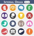Internal Organ icon