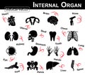 Internal Organ icon