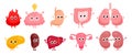 Internal organs characters. Cartoon healthy human organ cute comic characters, happy liver funny brain spleen stomach