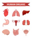 Internal organs of the human icons set, flat style. Collection with heart, liver, lungs, kidneys, stomach, female Royalty Free Stock Photo