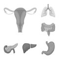 Internal organs of a human monochrome icons in set collection for design. Anatomy and medicine vector symbol stock web