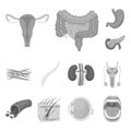 Internal organs of a human monochrome icons in set collection for design. Anatomy and medicine vector symbol stock web