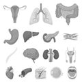 Internal organs of a human monochrome icons in set collection for design. Anatomy and medicine vector symbol stock web