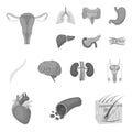 Internal organs of a human monochrome icons in set collection for design. Anatomy and medicine vector symbol stock web